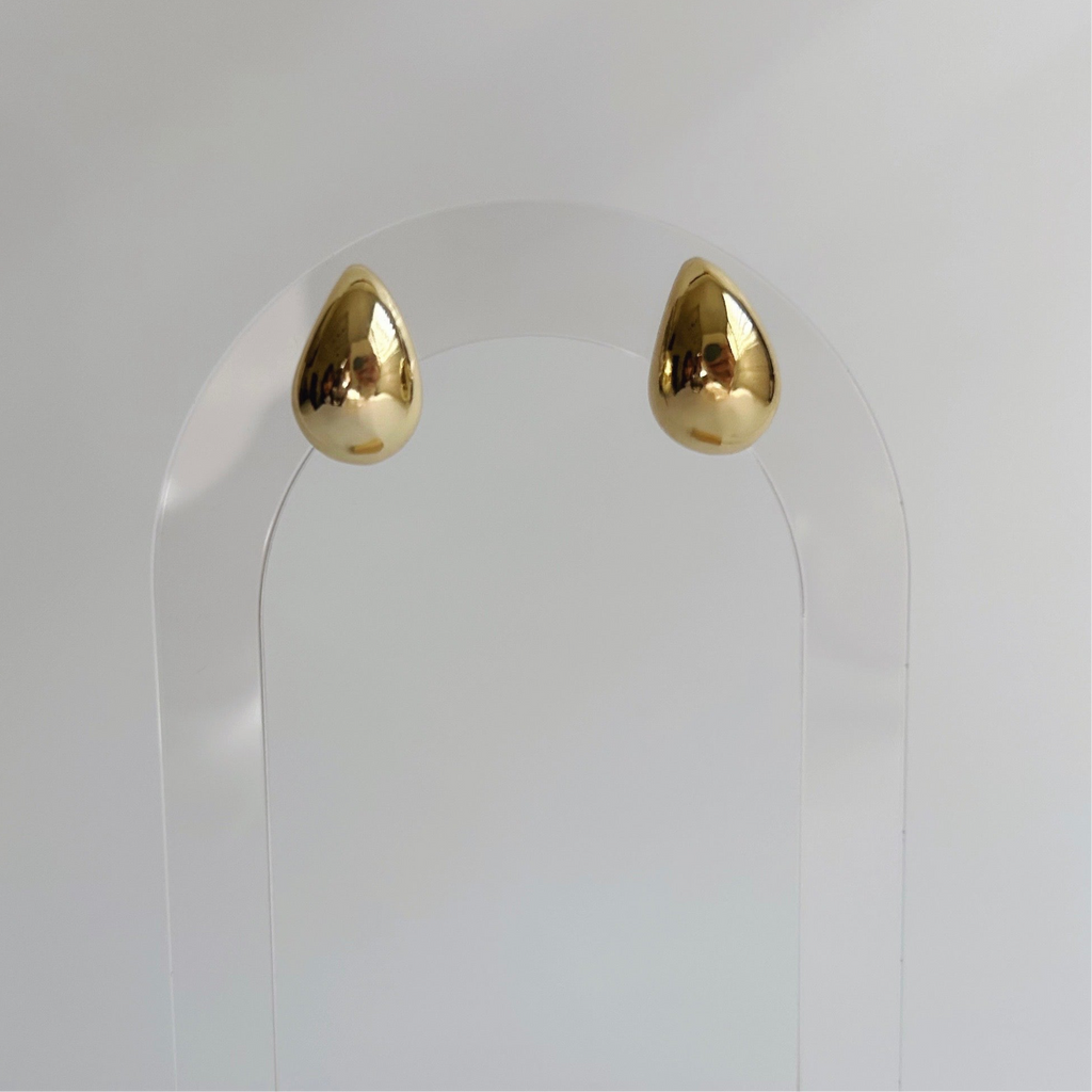 Iconic Earrings